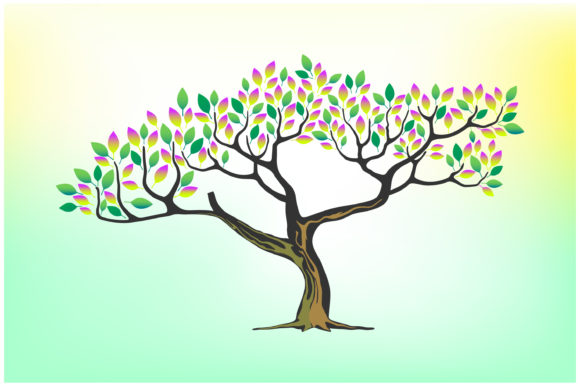 Acacia Tree Vector Illustration for Graphics and Illustrations