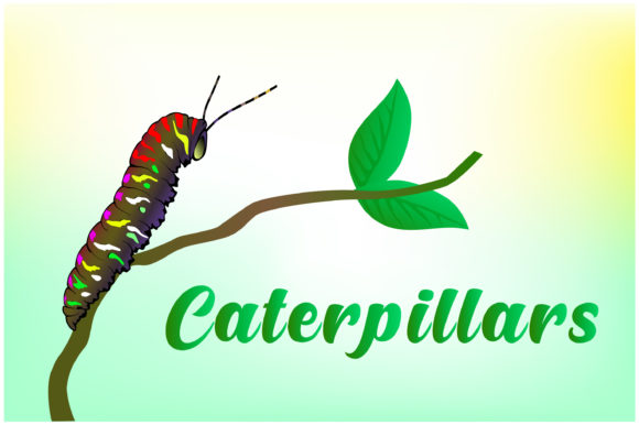 Caterpillars Hand Drawn Graphics for Crafters