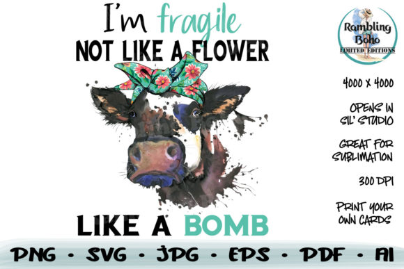 Fragile Like a Bomb Graphics