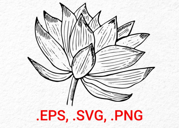 Lotus Flower Sketch Graphics for Local Business Branding