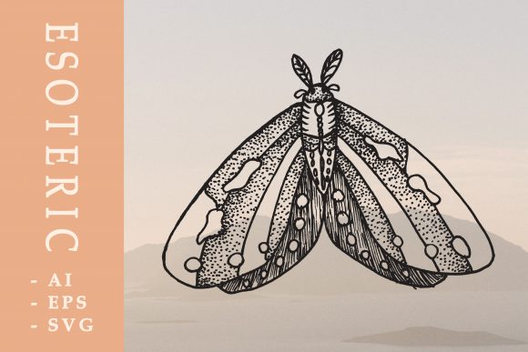 Moth Graphics for Branding and Marketing