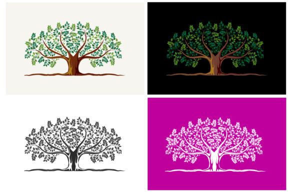 Oak Tree in Four Color Variants Graphics