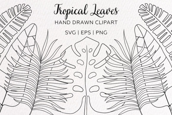 Tropical Palm Leaves Outline Graphics