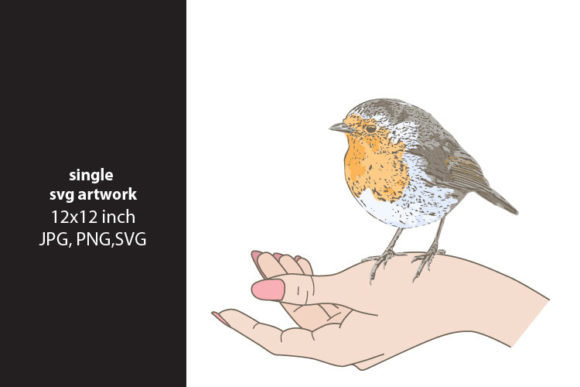 Vintage Little Bird Graphics for Branding and Illustrations